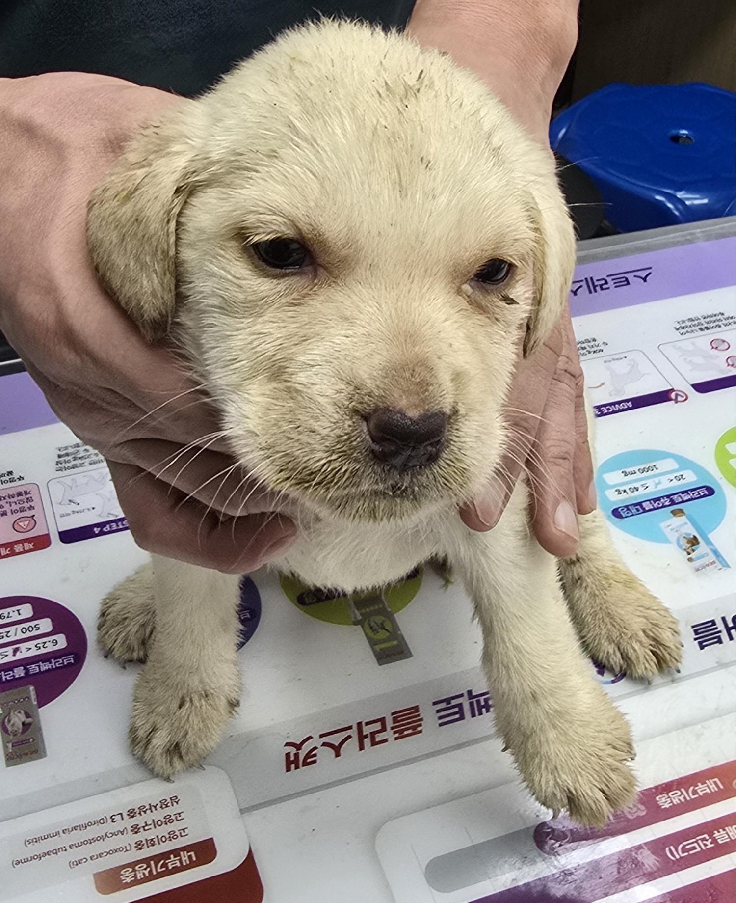 베스트동물병원_428357202401402
