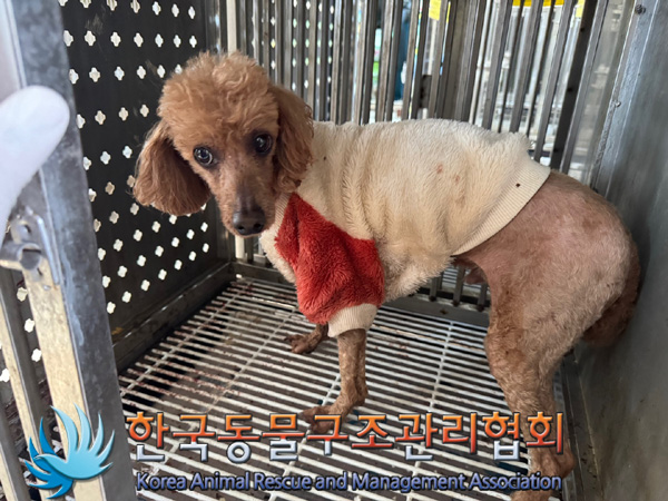 한국동물구조관리협회_441559202401200