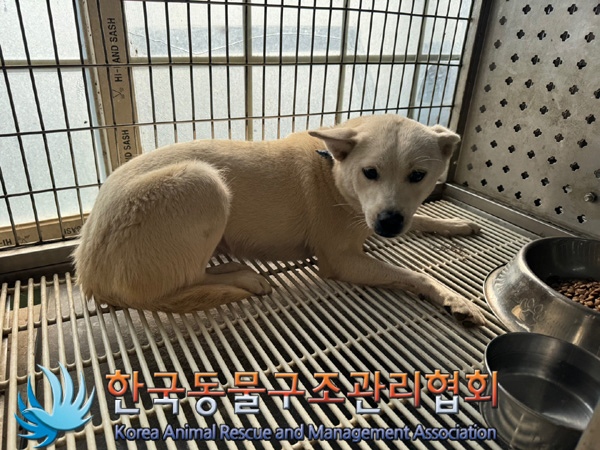 한국동물구조관리협회_441559202401202