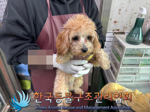 한국동물구조관리협회_411310202400662