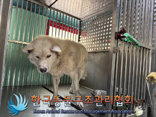 한국동물구조관리협회_411300202400463
