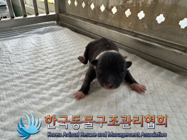 한국동물구조관리협회_411301202400386