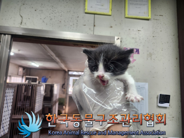 한국동물구조관리협회_441560202401332