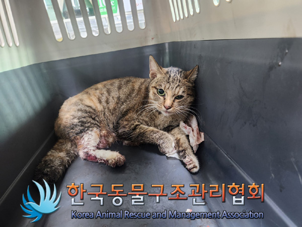 한국동물구조관리협회_411303202400509