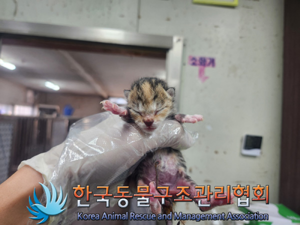 한국동물구조관리협회_411311202400908
