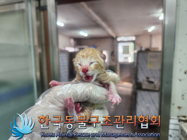 한국동물구조관리협회_411315202400574