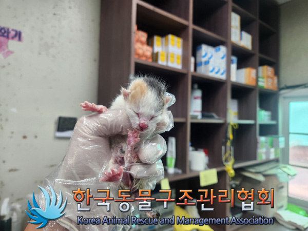 한국동물구조관리협회_411311202400909