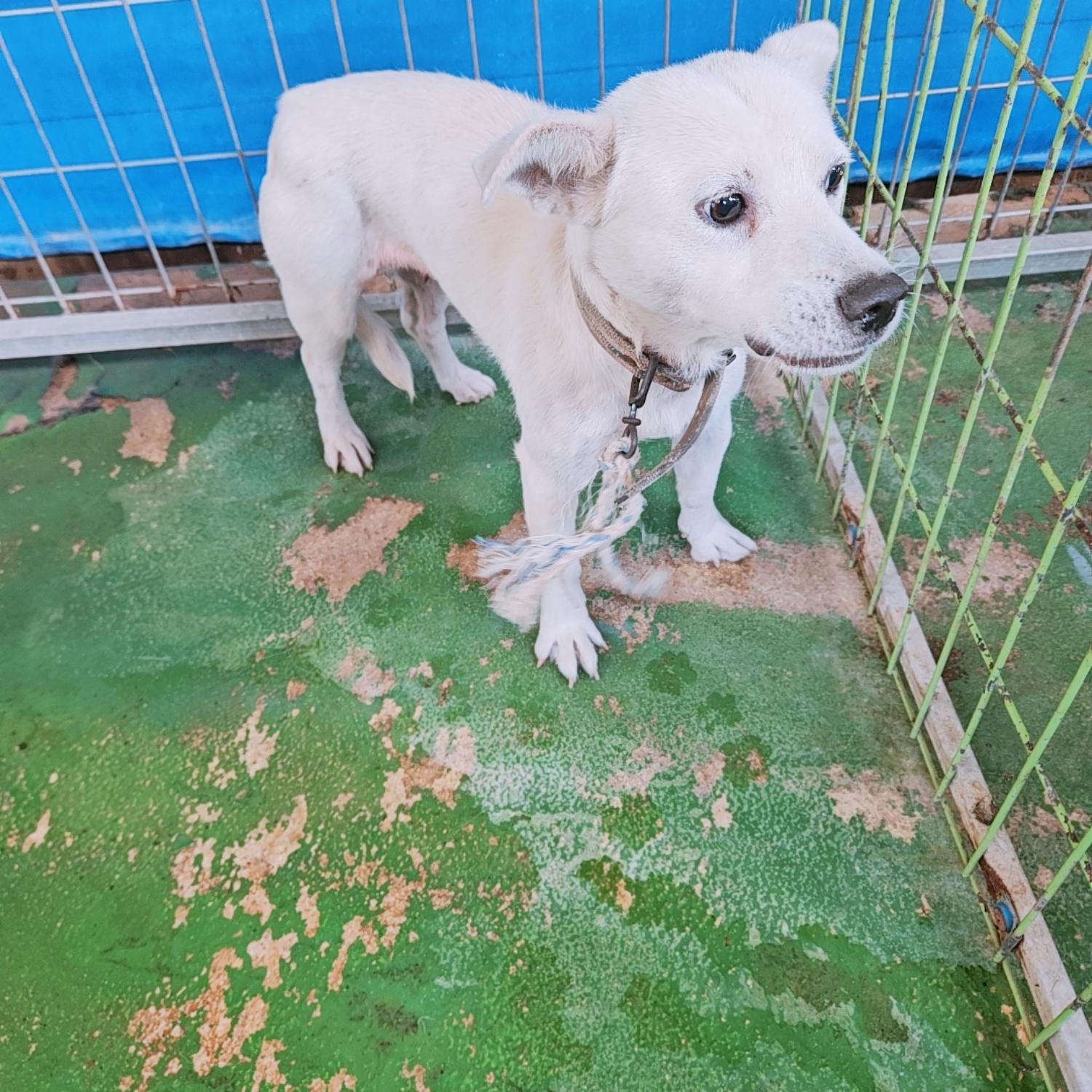 나주유기동물보호센터_446483202401718