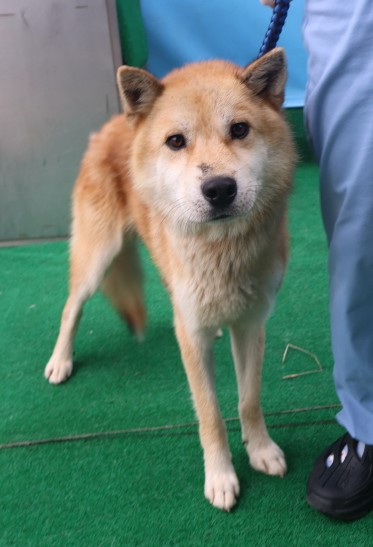 제주 동물보호센터_450650202403254