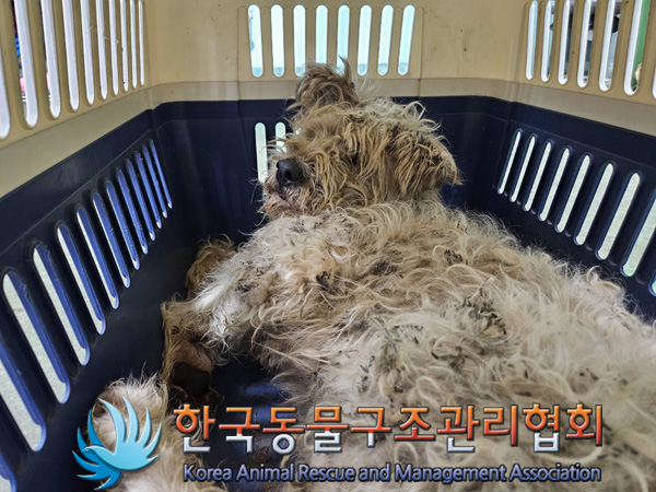 한국동물구조관리협회_441414202400819