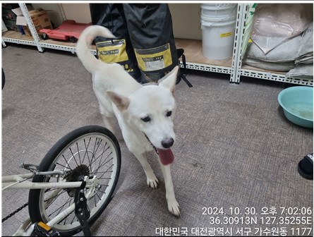 대전동물보호센터_430366202400582