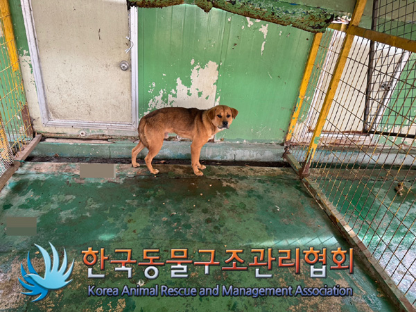 한국동물구조관리협회_441406202401894