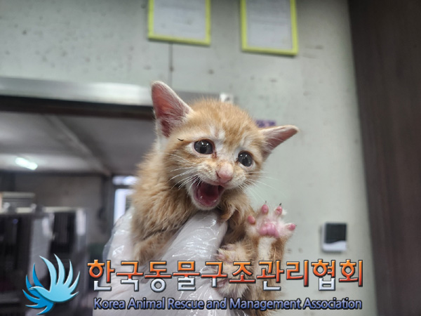 한국동물구조관리협회_441406202401900