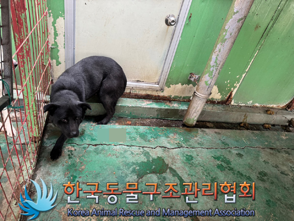 한국동물구조관리협회_441406202401896