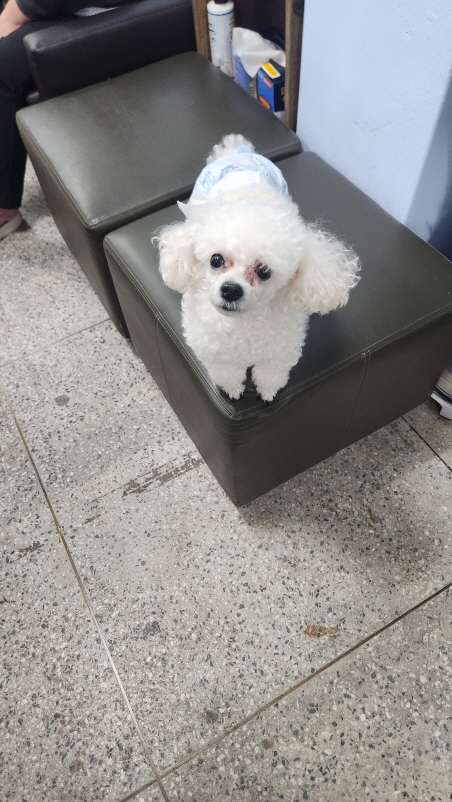 익산유기동물보호소_445468202402917