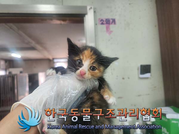 한국동물구조관리협회_441409202401689