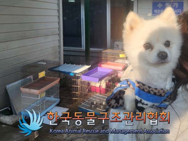 한국동물구조관리협회_441409202401687