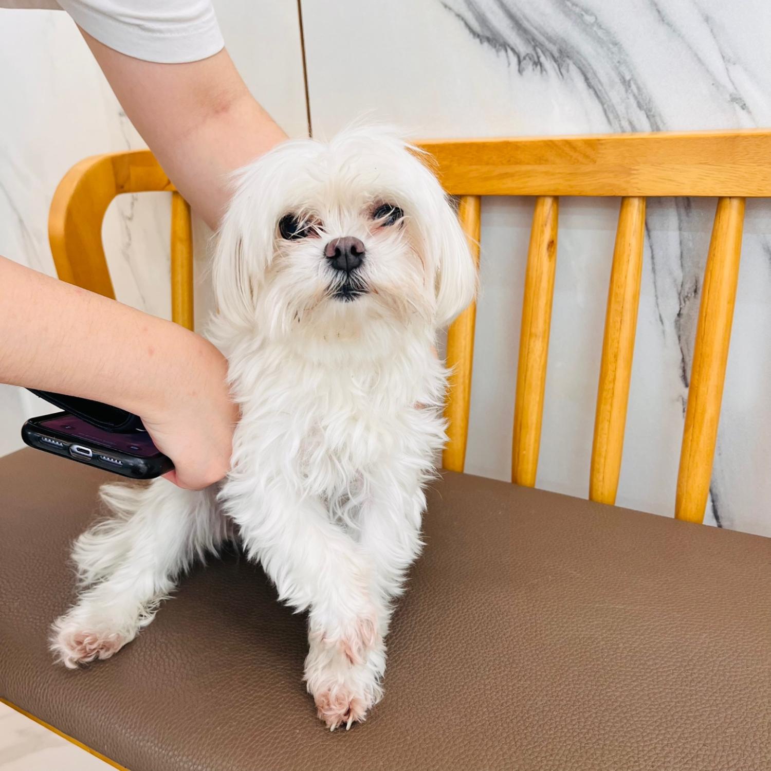 강동리본센터(reborn)_411324202400611