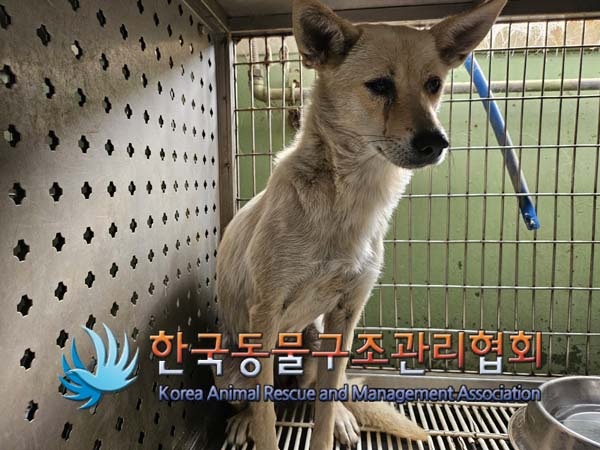 한국동물구조관리협회_441404202400578