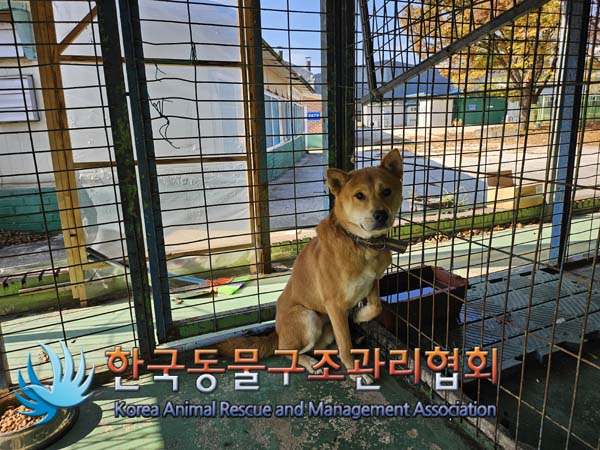한국동물구조관리협회_441406202401927