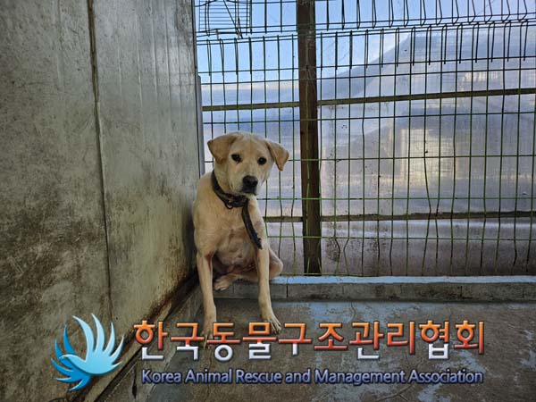 한국동물구조관리협회_441406202401924