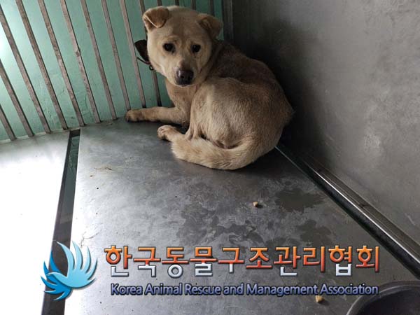 한국동물구조관리협회_441406202401929