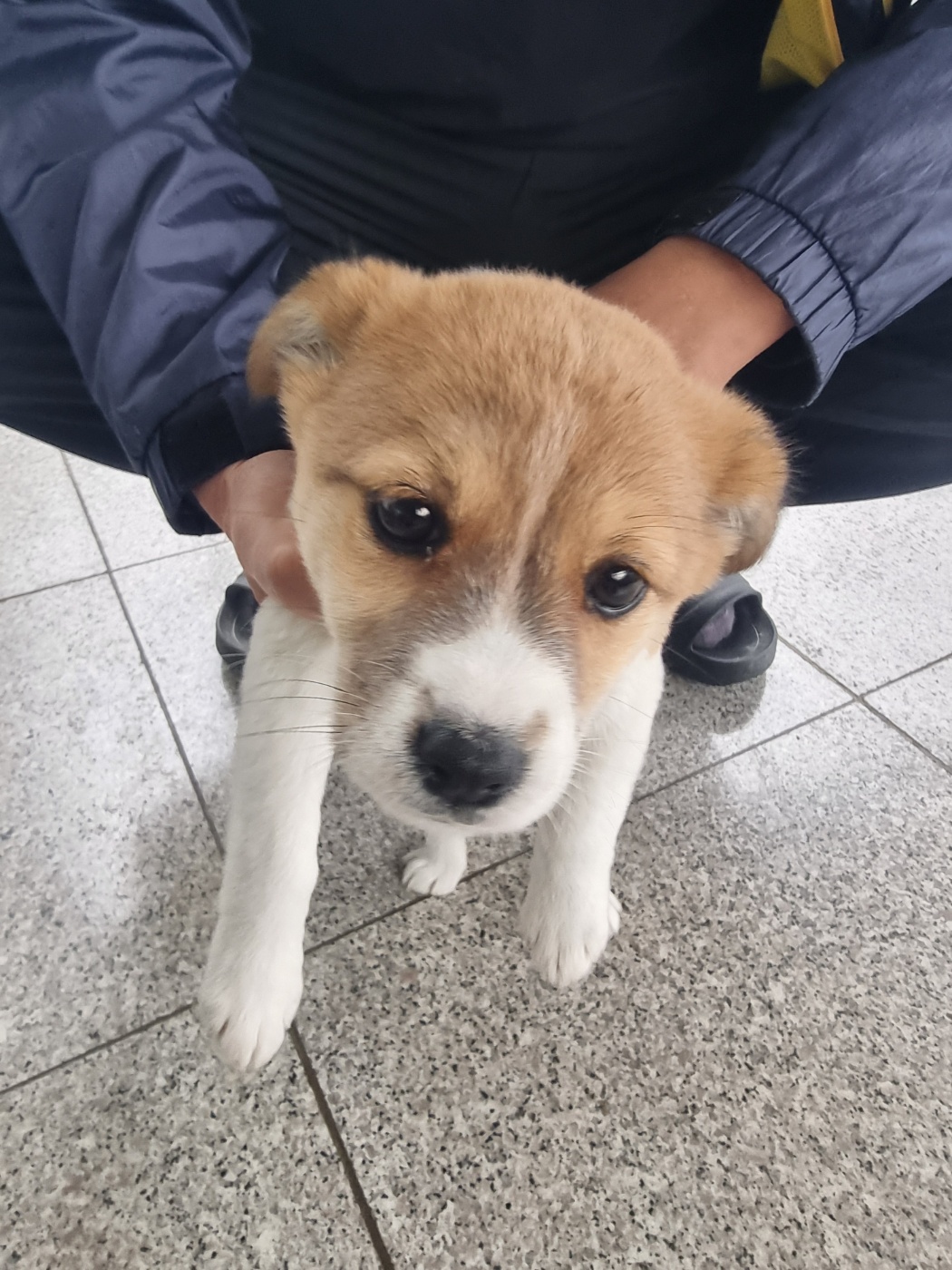 구미시 동물보호센터_447508202401146