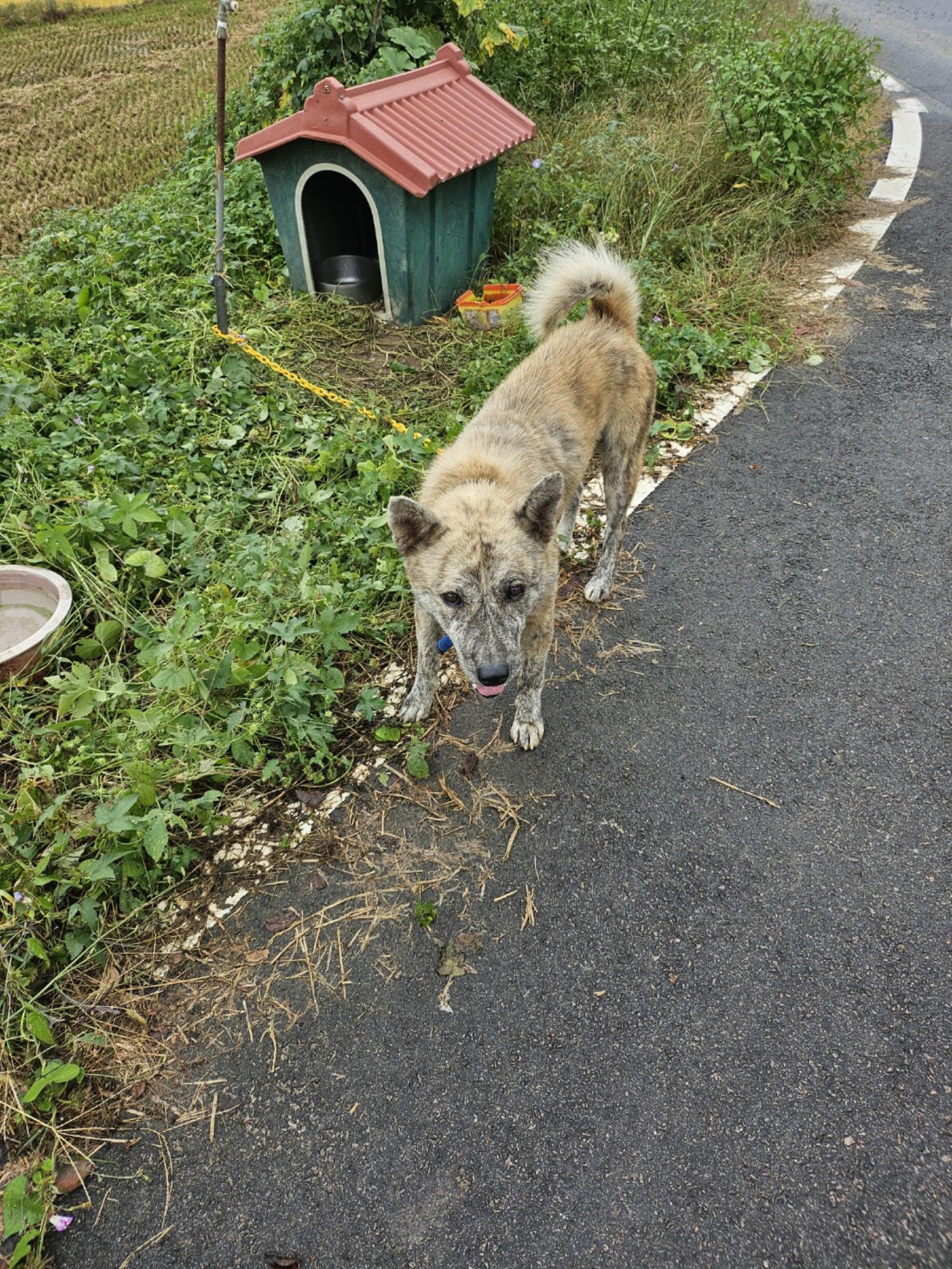 영광동물보호센터_446497202400499