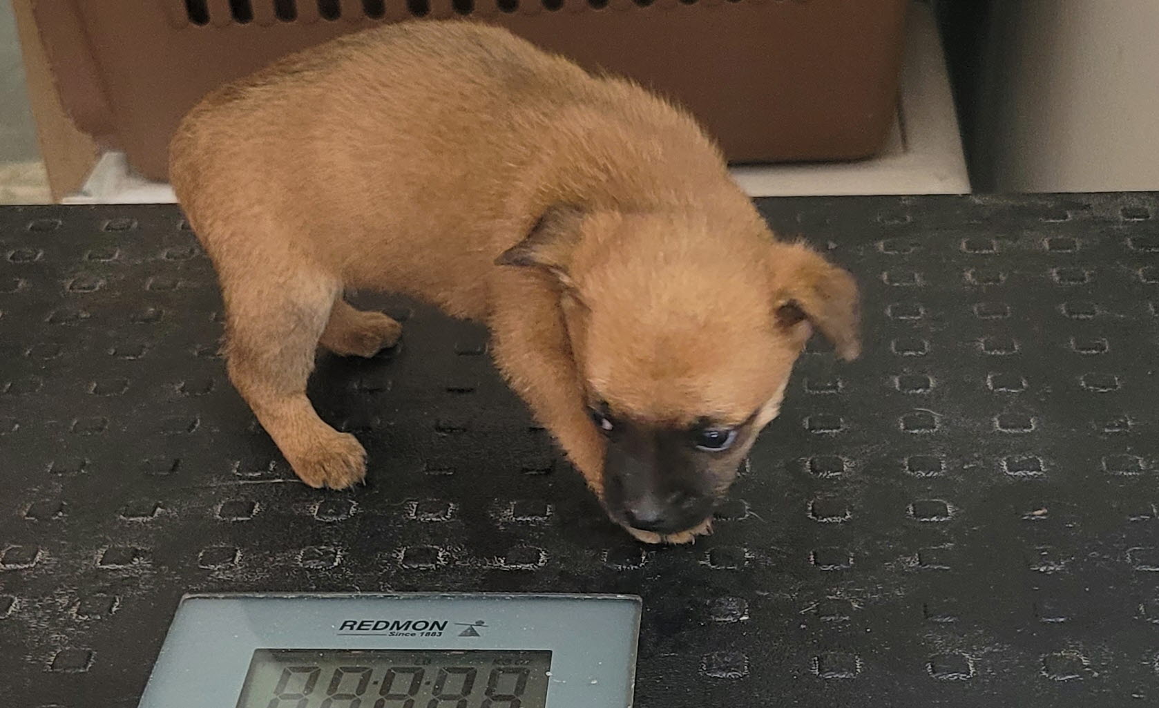 울진군동물보호센터_447525202400481