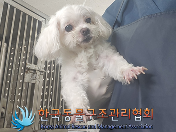 한국동물구조관리협회_411306202400854