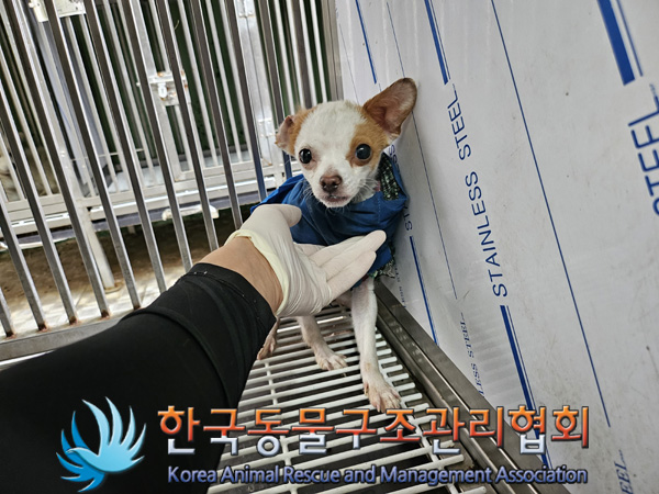 한국동물구조관리협회_411307202400620