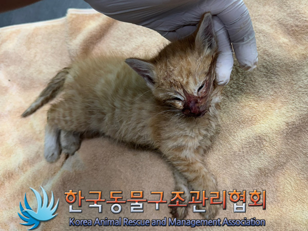 한국동물구조관리협회_441414202400821
