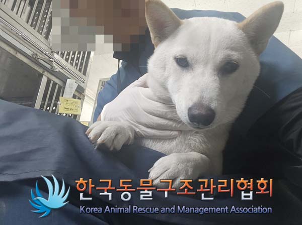 한국동물구조관리협회_411304202400610