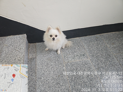 대전동물보호센터_430365202400566