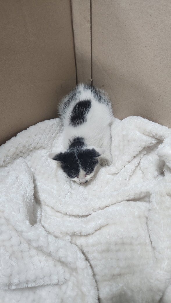 익산유기동물보호소_445468202402947
