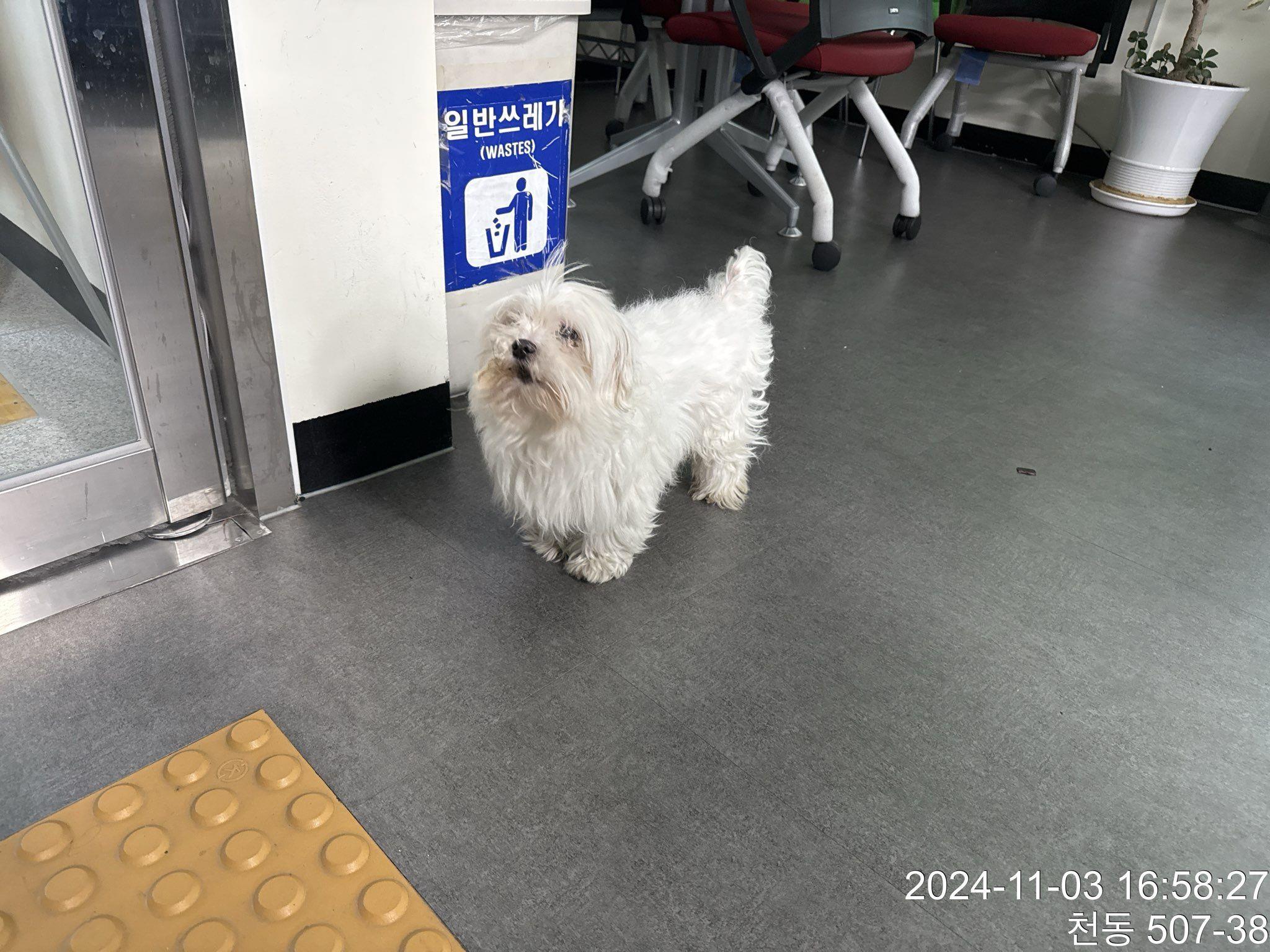 대전동물보호센터_430364202400787