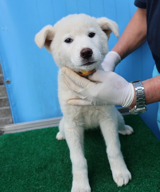 제주 동물보호센터_450650202403270