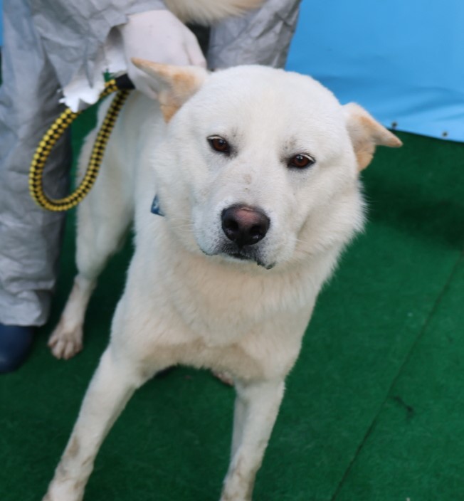 제주 동물보호센터_450650202403287
