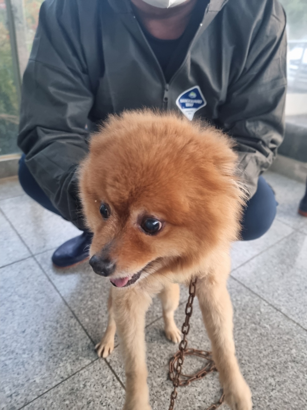 구미시 동물보호센터_447508202401148