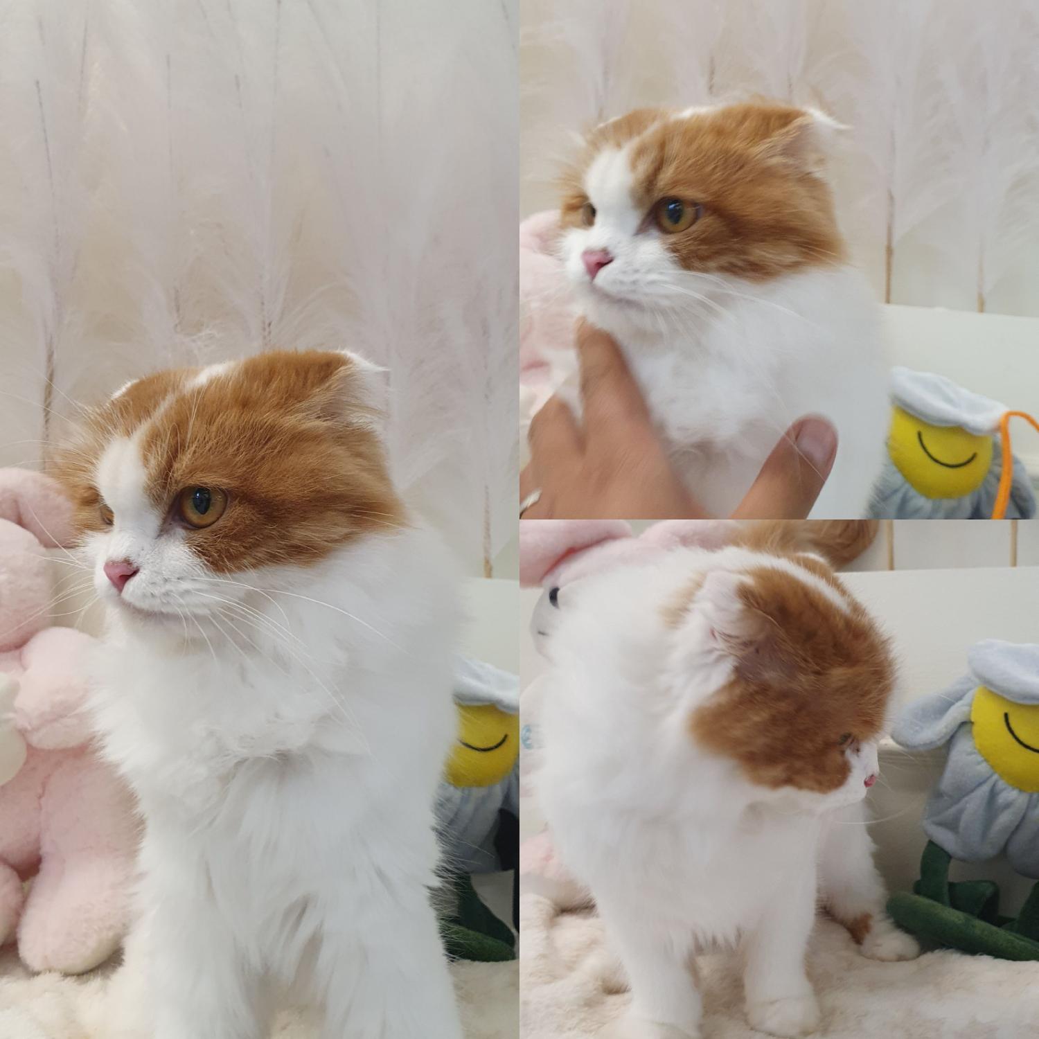 경주동물사랑보호센터_447505202401272