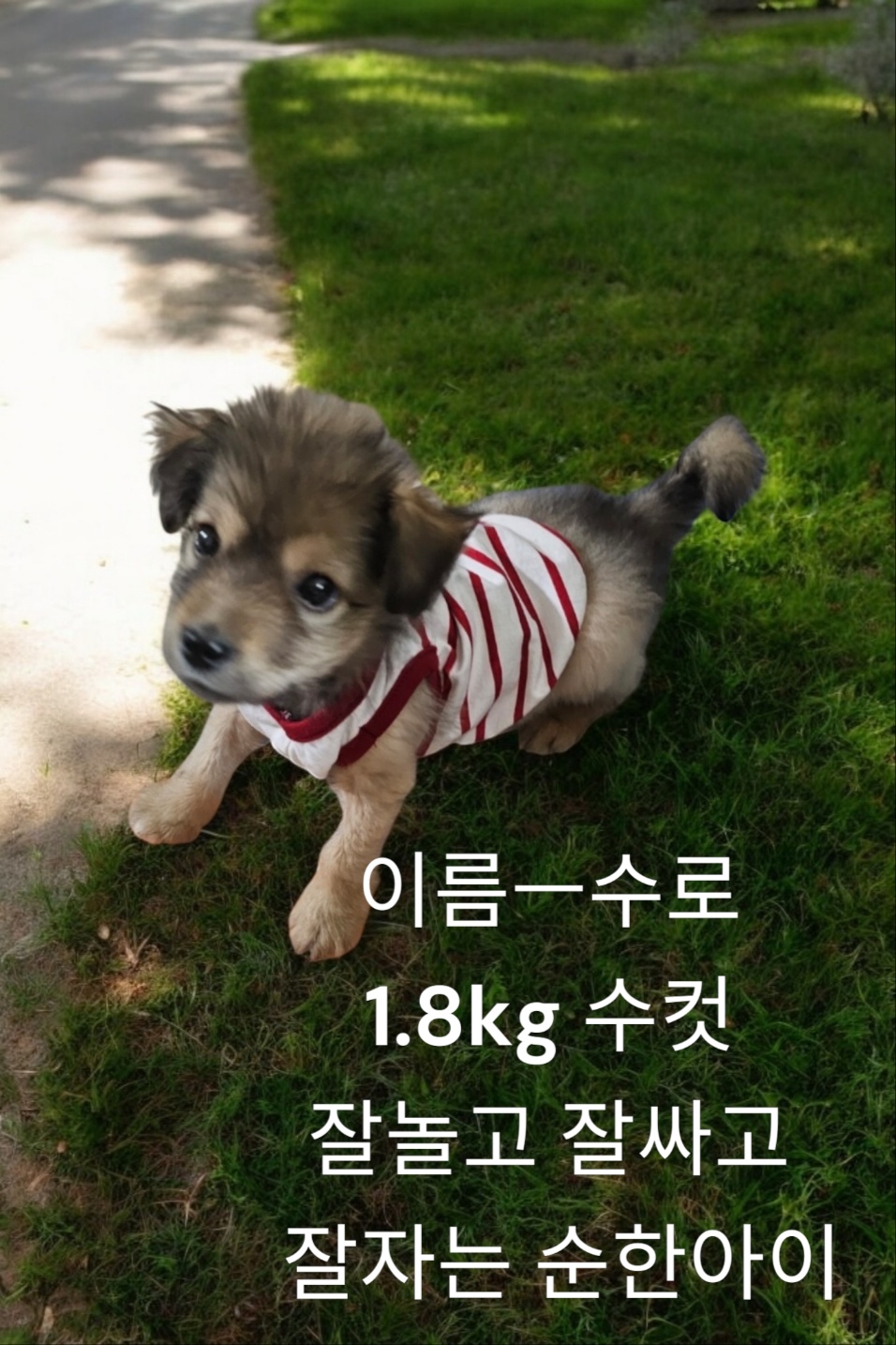 성주유기동물보호센터_447521202400518