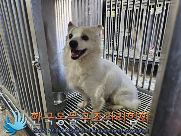 한국동물구조관리협회_411311202400944