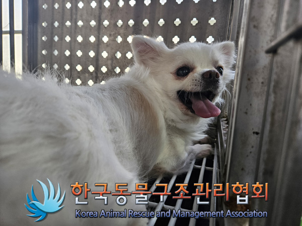 한국동물구조관리협회_411310202400665