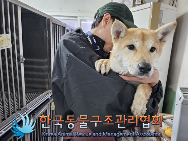 한국동물구조관리협회_441382202400783