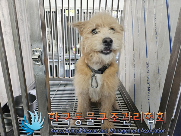 한국동물구조관리협회_411316202400812