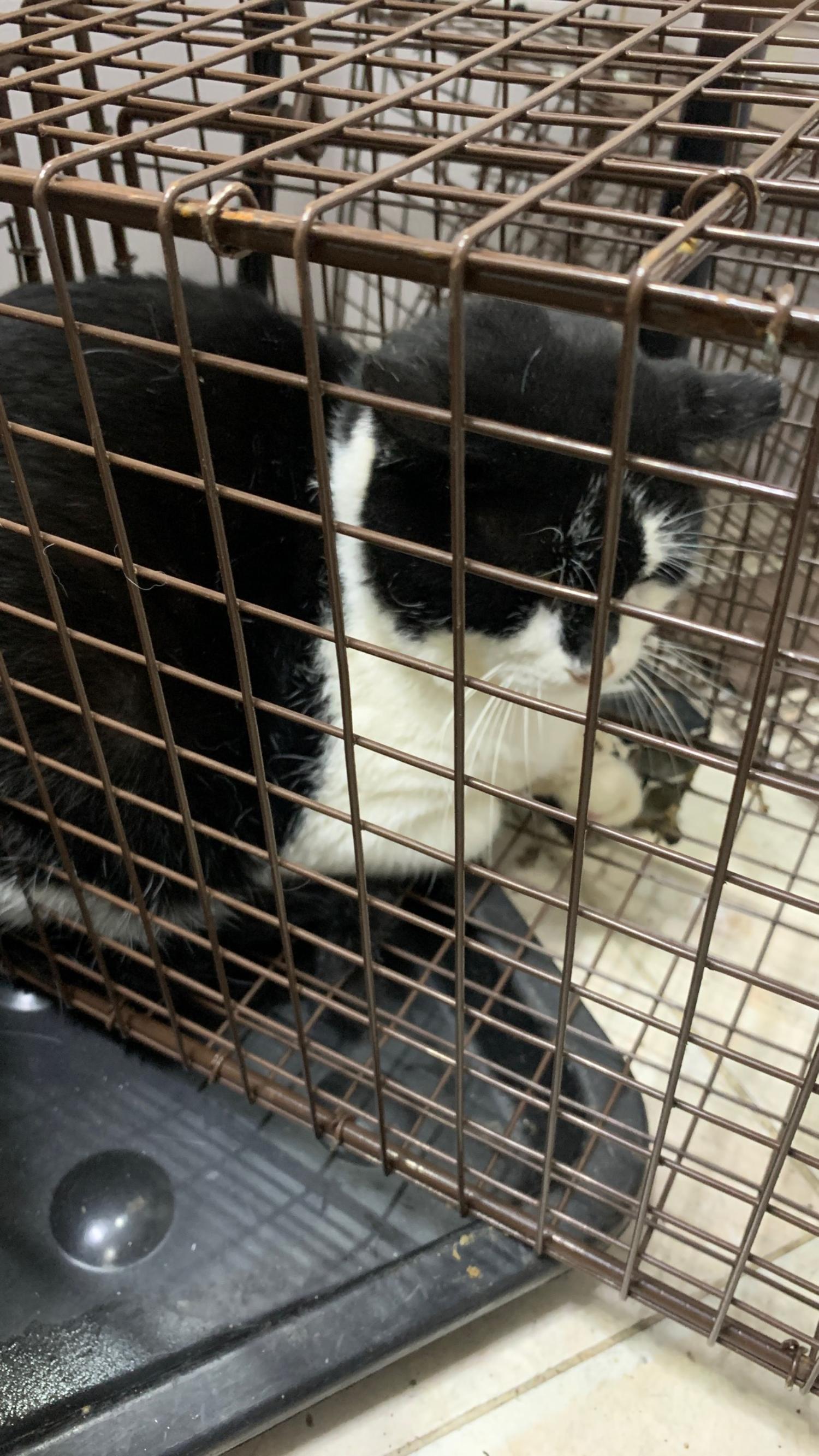 늘푸른동물병원_428354202401416