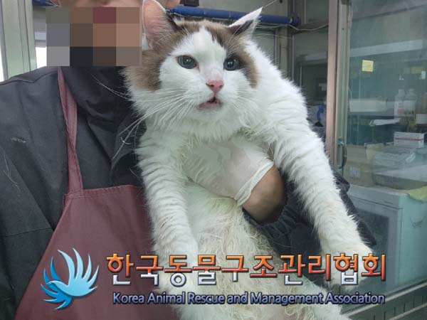 한국동물구조관리협회_411315202400581