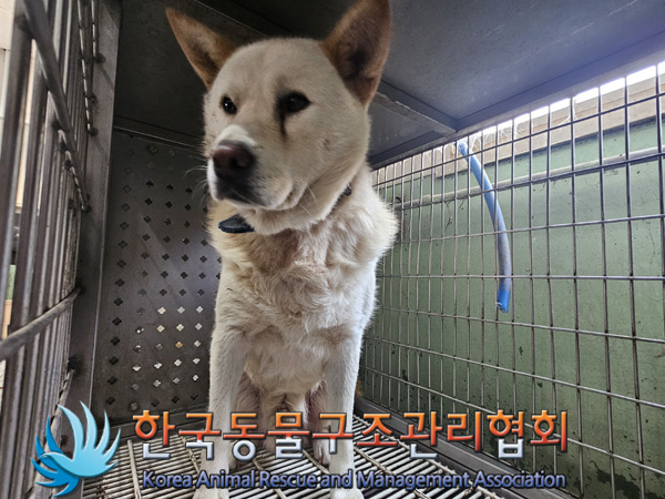 한국동물구조관리협회_441406202401933