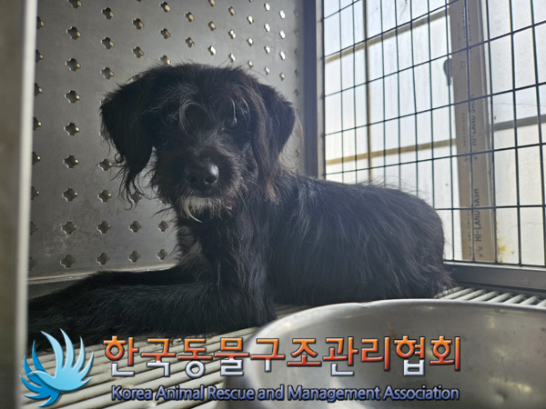 한국동물구조관리협회_441414202400823