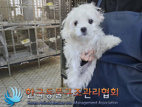 한국동물구조관리협회_411315202400580